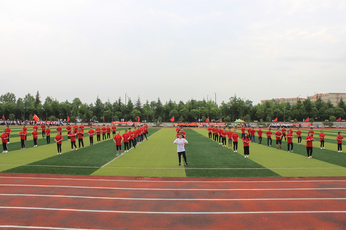 1526638002949539.png 调整大小 9.png