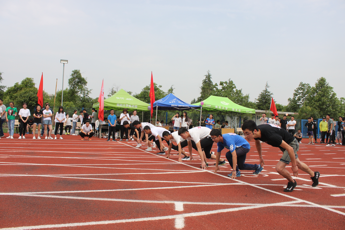 1526638176828275.png 调整大小 24.png